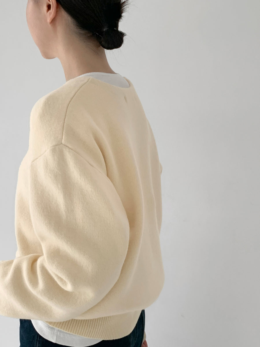 Wool Cashmere Brush Knit (PREORDER)